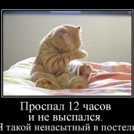 Оптимус